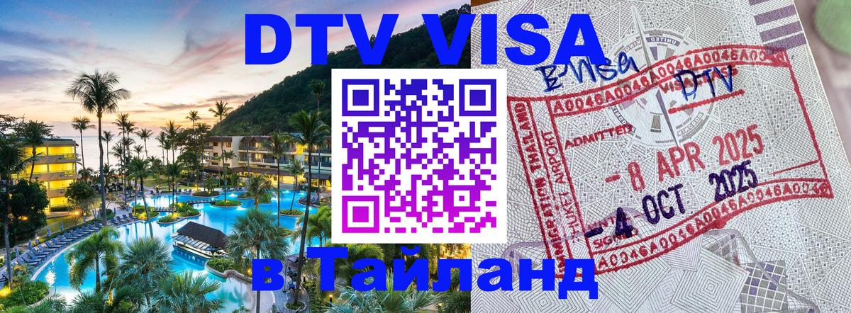 Сколько стоит DTV виза — актуальные цены, оформление даже без документов - Михайловск 